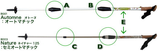 �\�������ʐ^