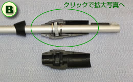 �\�������ʐ^