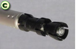 �\�������ʐ^