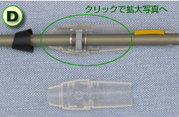 �\�������ʐ^